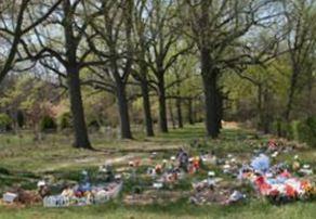 City of Vineland Cemetery on Sysoon