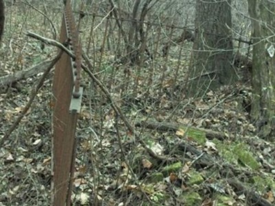 Claggett Family Cemetry (Defunct) on Sysoon