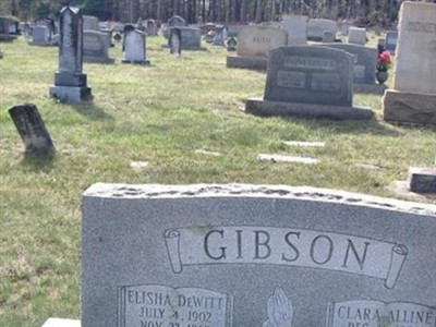Clara Alline Gibson on Sysoon