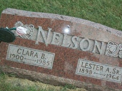 Clara Bertina Roe Nelson on Sysoon