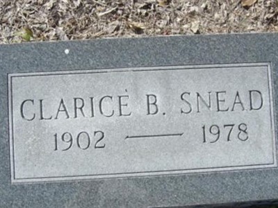 Clarice B Snead on Sysoon
