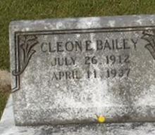 Cleone E. Bailey on Sysoon
