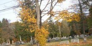 Cleveland Village Cemetery on Sysoon