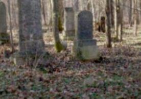 Cline Cemetery on Sysoon