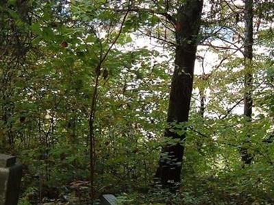 Clouse Cemetery at Greasy Cove on Sysoon