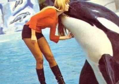Clovis The Whale on Sysoon