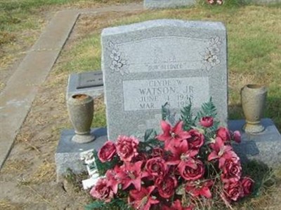 Clyde W Watson, Jr on Sysoon