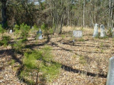 Cobb Cemetery on Sysoon