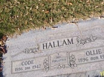 Code Hallam on Sysoon