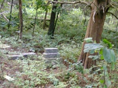 Cole Cemetery on Sysoon