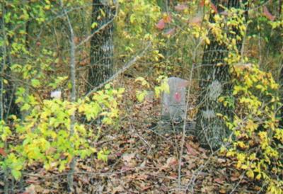 Coleman Cemetery on Sysoon