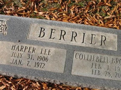 Colliebell Broadway Berrier on Sysoon