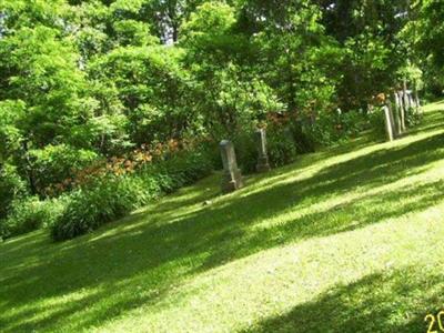 Collins Cemetery on Sysoon