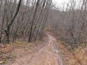 Collins Eldridge on Sysoon