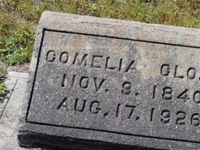 Comelia Close on Sysoon