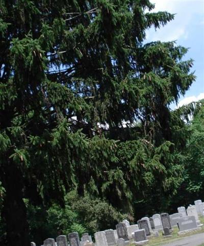 Congregation Beth El of Ansonia Cemetery on Sysoon