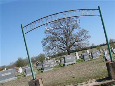 Copperas Springs Cemetery on Sysoon