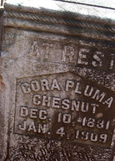 Cora Pluma Chesnut on Sysoon