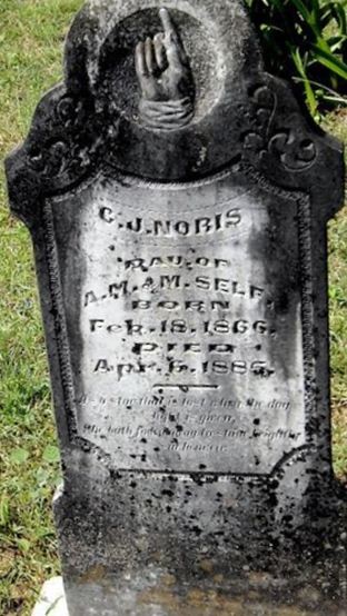 Cornelia Josephine Self Noris on Sysoon