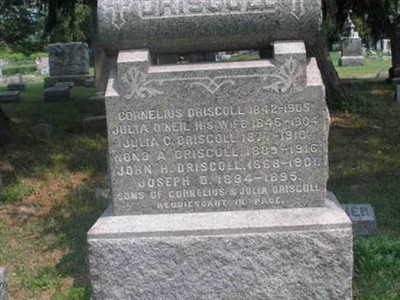 Cornelius Driscoll on Sysoon
