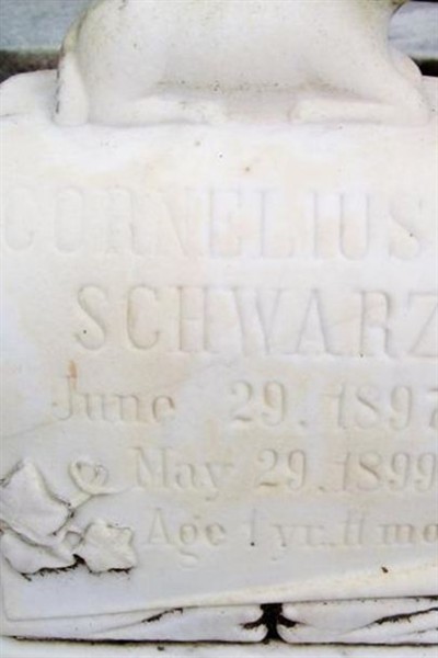 Cornelius R Schwarz on Sysoon