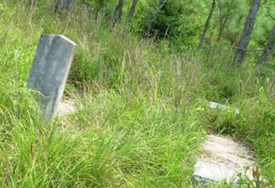 Cotton Cemetery on Sysoon