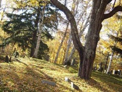 Cotton Hill Cemetery on Sysoon