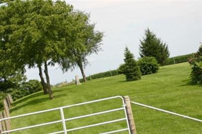 County Home Cemetery on Sysoon