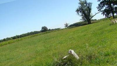 County Home Cemetery on Sysoon