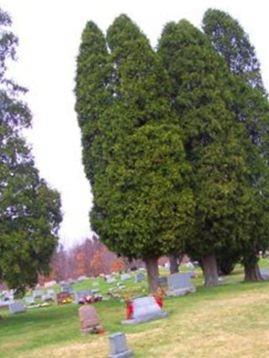 Pine Creek Baptist Church Cemetery on Sysoon