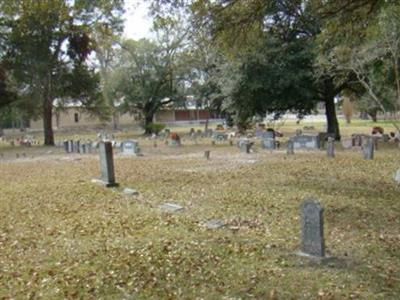 Bear Creek Cemetery, San Jacinto County, Texas on Sysoon