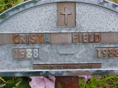 Crista Field on Sysoon