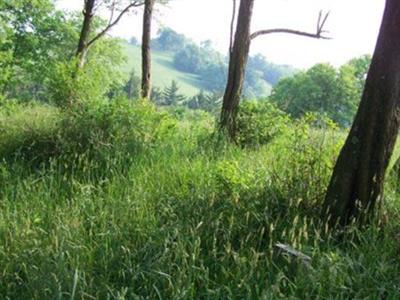 Crow Family Cemetery on Sysoon