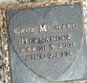 Cruz Michael Hernandez on Sysoon