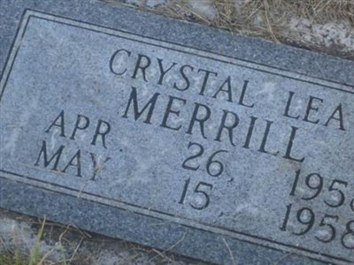 Crystal Lea Merrill on Sysoon