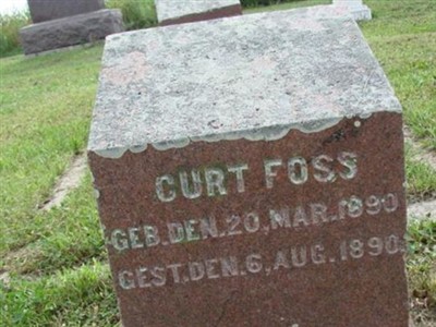 Curt Foss on Sysoon