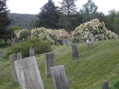 Cuyler Cemetery on Sysoon