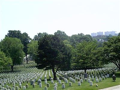 Cypress Hills National Cemetery on Sysoon