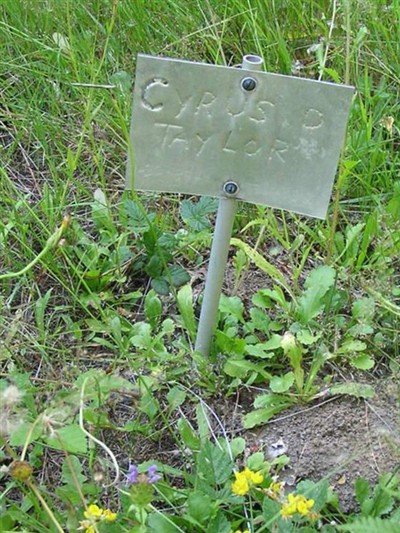 Cyrus D. Taylor on Sysoon