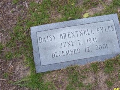 Daisy Brentnell Pyles on Sysoon