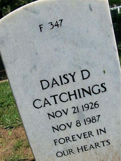 Daisy D Catchings on Sysoon