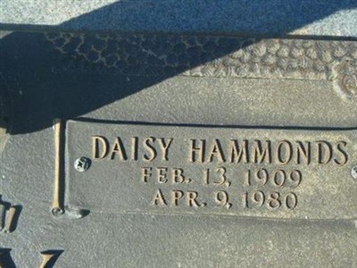 Daisy Hammonds Ray on Sysoon