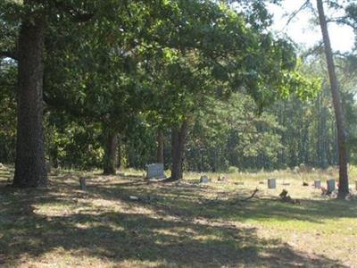 Damascus-Bartow Baptist Church Cemetery on Sysoon