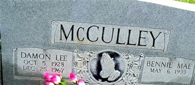 Damon Lee McCulley on Sysoon
