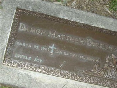 Damon Matthew Dickenson on Sysoon