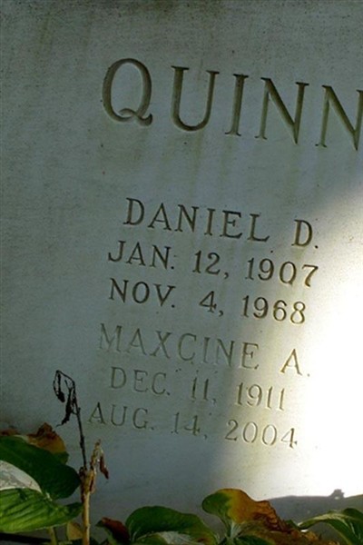Daniel D Quinn on Sysoon