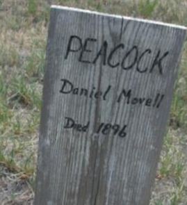 Daniel Movell Peacock on Sysoon