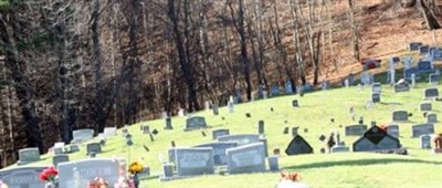 Danner Cemetery on Sysoon