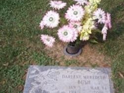 Darlene Meredith Bush on Sysoon