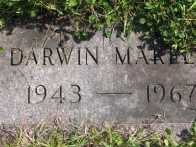 Darwin Makela on Sysoon